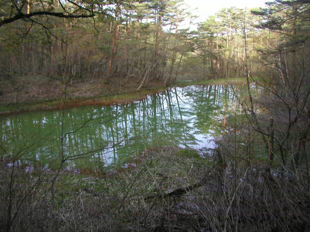 �ܐF��
(620�~465pixel,68.5KB)