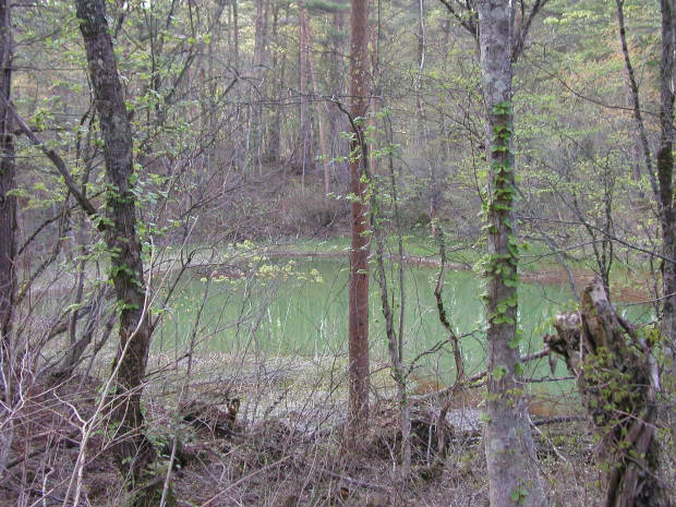 �ܐF��
(620�~465pixel,81.1KB)