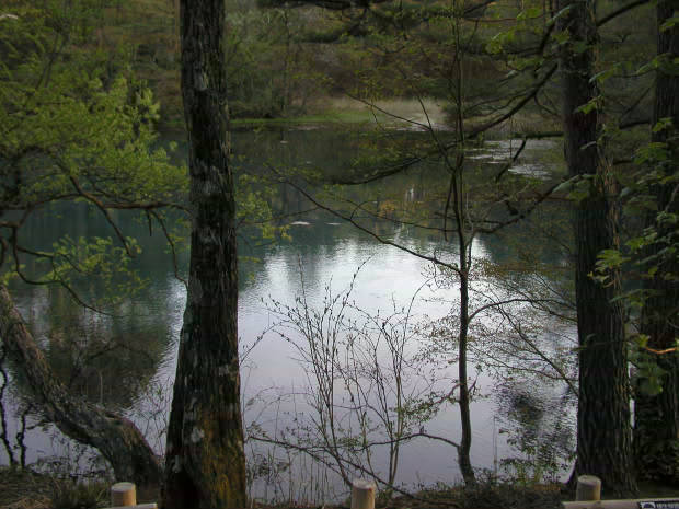 �ܐF��
(620�~465pixel,54.8KB)