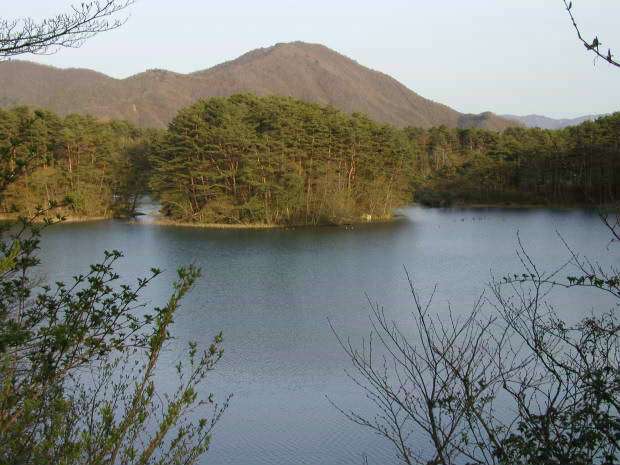 �ܐF��
(620�~465pixel,53.0KB)