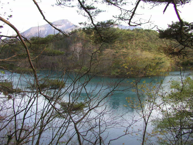 �ܐF��
(620�~465pixel,79.5KB)