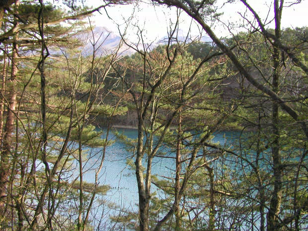 �ܐF��
(620�~465pixel,95.4KB)