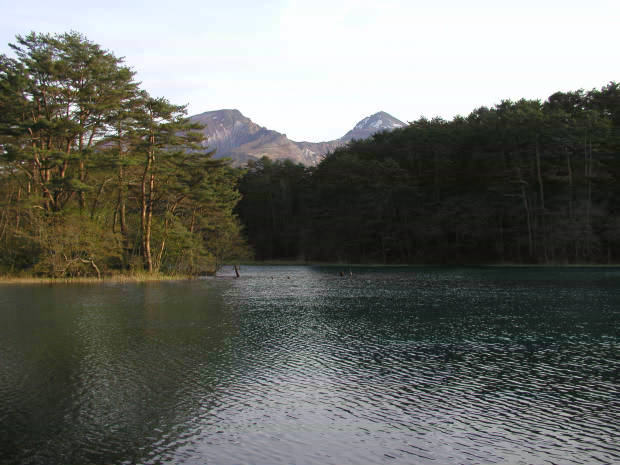 �ܐF��
(620�~465pixel,46.5KB)