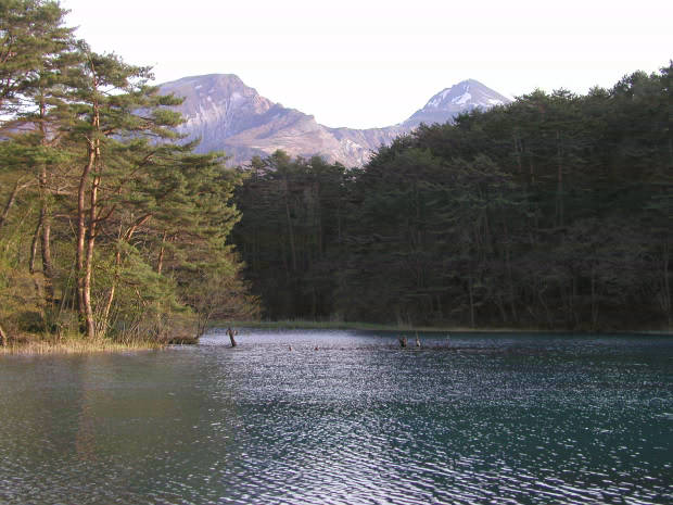 �ܐF��
(620�~465pixel,52.6KB)