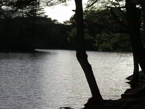 �ܐF��
(620�~465pixel,46.7KB)