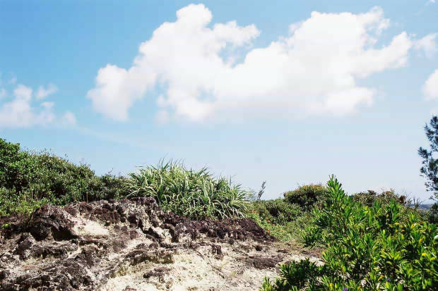 ���Q�Y
(620�~413pixel,51.3KB)