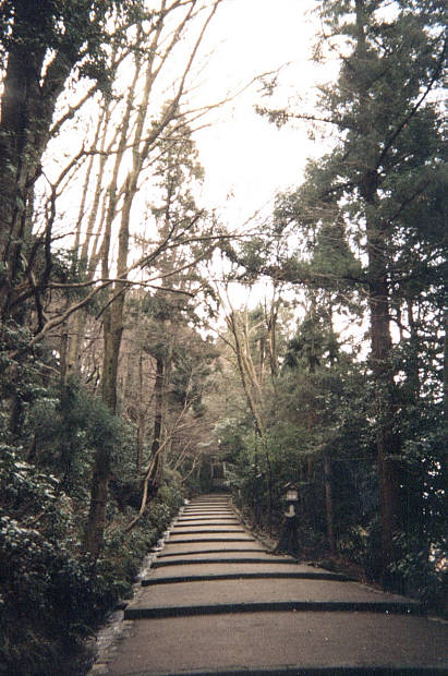 ���R�����_��
(411�~620pixel,68.1KB)