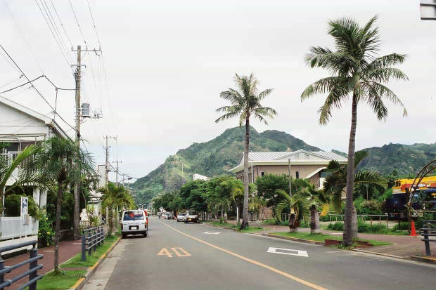 �񌩍`�Ə��}���̏W��
(620�~413pixel,47.2KB)