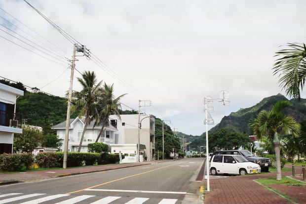 �񌩍`�Ə��}���̏W��
(620�~413pixel,41.8KB)