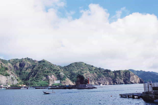 �񌩍`�Ə��}���̏W��
(620�~413pixel,32.6KB)