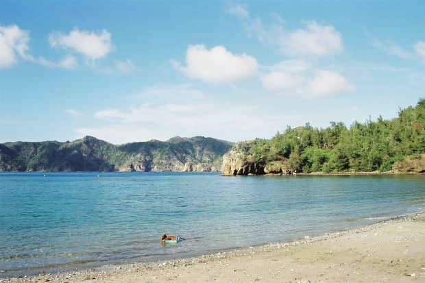 �񌩍`�Ə��}���̏W��
(620�~413pixel,36.8KB)