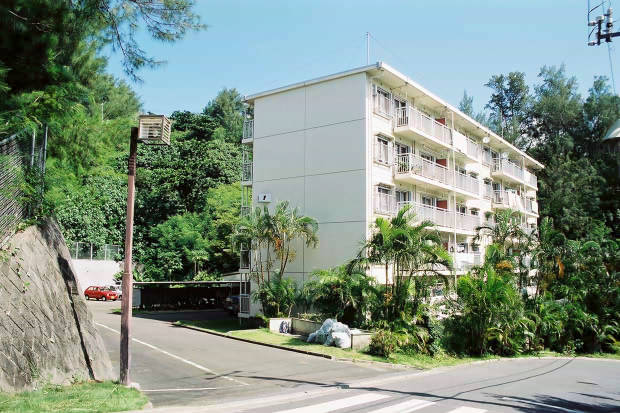 �񌩍`�Ə��}���̏W��
(620�~413pixel,65.5KB)