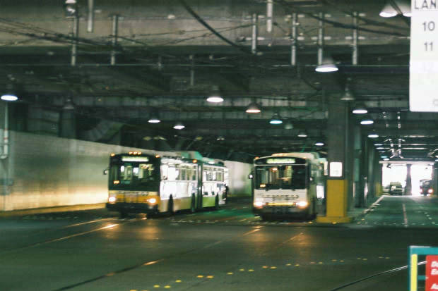 01-�����Ƃ�
(620�~413pixel,36.9KB)