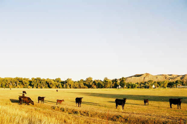 03.���񂽂�
(620�~413pixel,33.8KB)