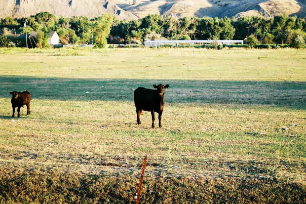 03.���񂽂�
(620�~413pixel,84.5KB)