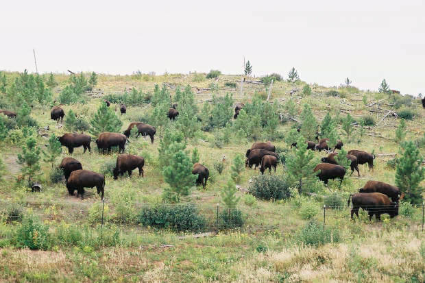 03.���񂽂�
(620�~413pixel,55.3KB)