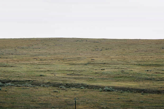 03.���񂽂�
(620�~413pixel,32.7KB)