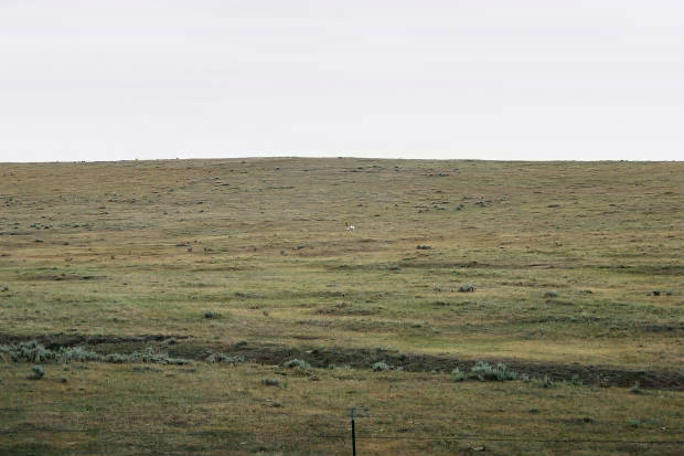 03.���񂽂�
(620�~413pixel,33.3KB)