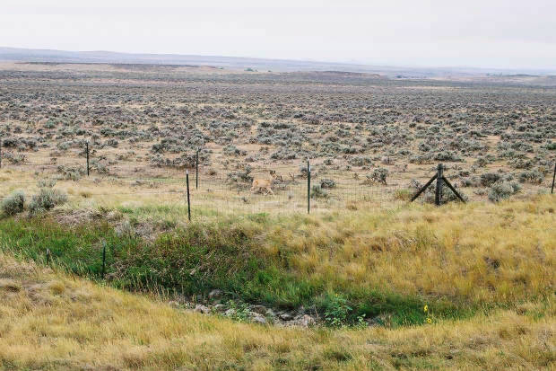 03.���񂽂�
(620�~413pixel,59.8KB)