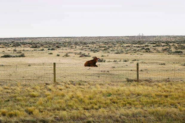 03.���񂽂�
(620�~413pixel,47.2KB)