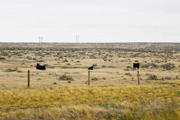 03.���񂽂�
(620�~413pixel,47.8KB)