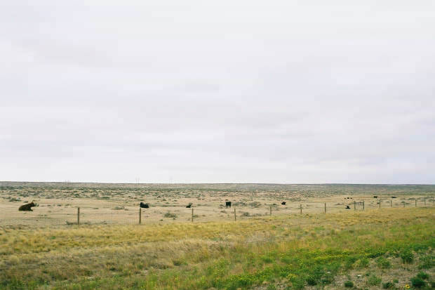 03.���񂽂�
(620�~413pixel,25.8KB)