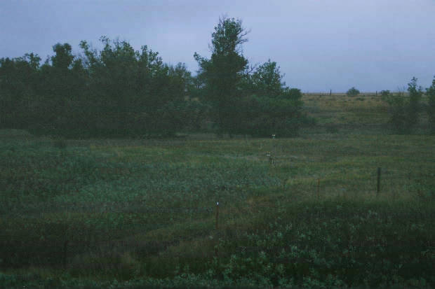 04.�킢���݂�
(620�~413pixel,24.9KB)