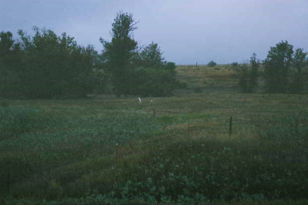 04.�킢���݂�
(620�~413pixel,26.0KB)