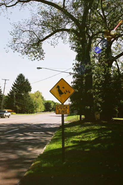 10.���͂���
(413�~620pixel,57.5KB)