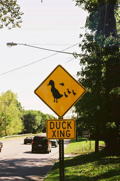 10.���͂���
(413�~620pixel,50.7KB)