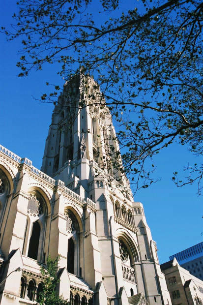 14.�j���[���[�N
(413�~620pixel,77.3KB)