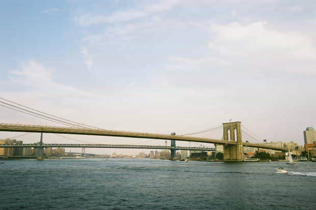 14.�j���[���[�N
(620�~413pixel,26.9KB)