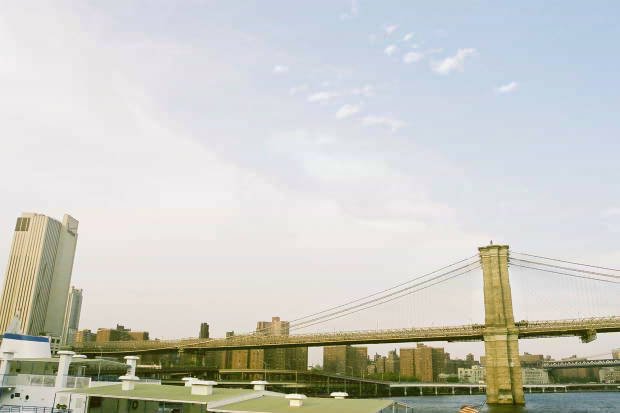 14.�j���[���[�N
(620�~413pixel,24.0KB)