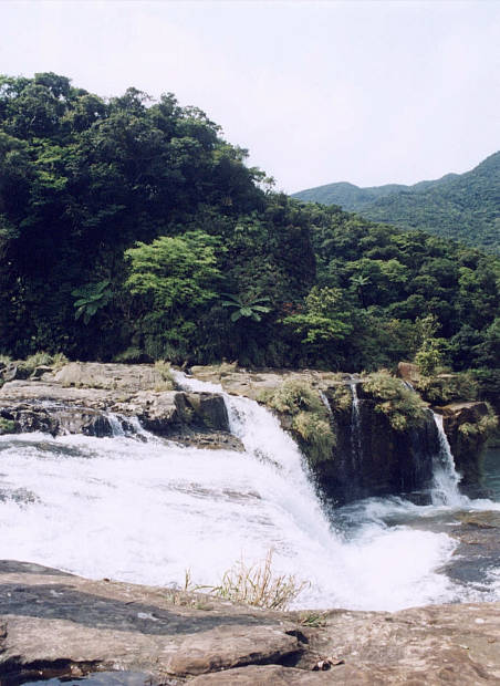 ���\��
(452�~620pixel,54.2KB)