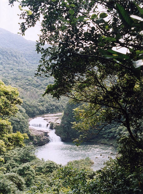 ���\��
(457�~620pixel,92.4KB)