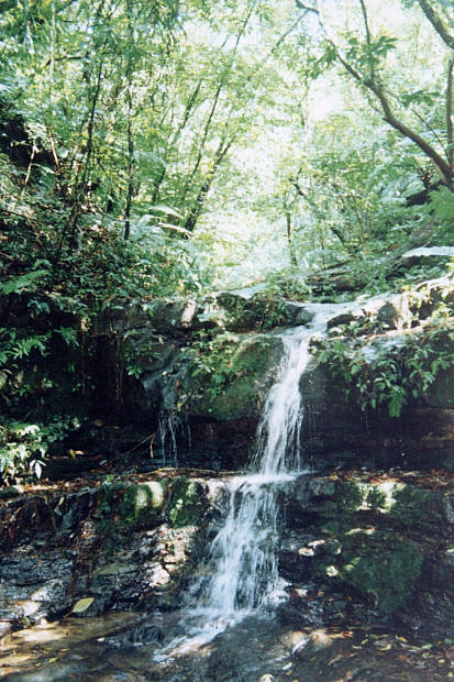 ���\��
(413�~620pixel,80.5KB)