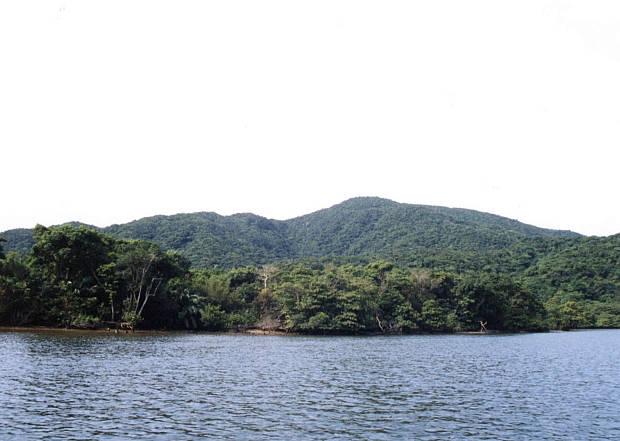 ���\��
(620�~441pixel,39.9KB)