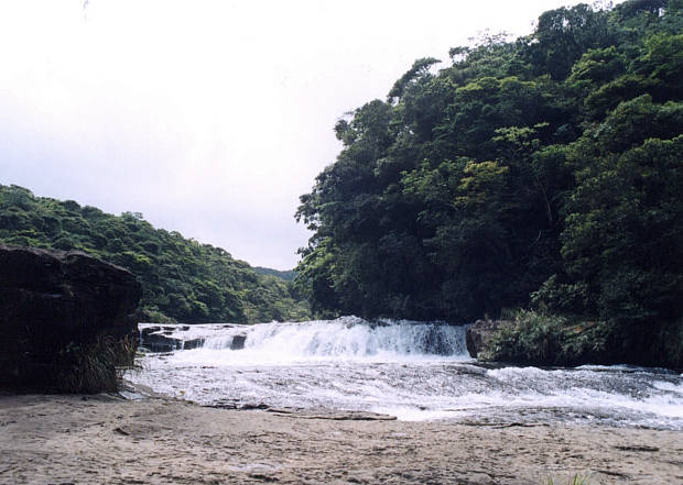 ���\��
(620�~441pixel,49.0KB)