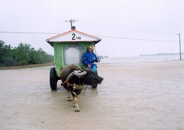 ���\��
(620�~439pixel,31.3KB)