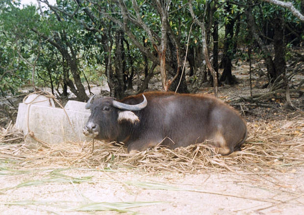 ���\��
(620�~438pixel,70.8KB)