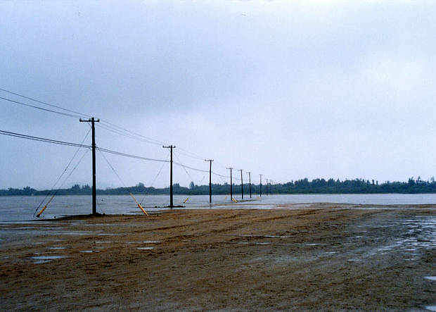 ���\��
(620�~443pixel,34.9KB)