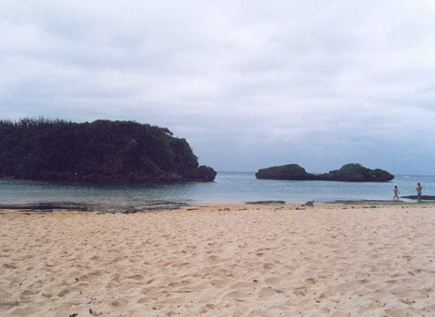 ���\��
(620�~452pixel,33.5KB)