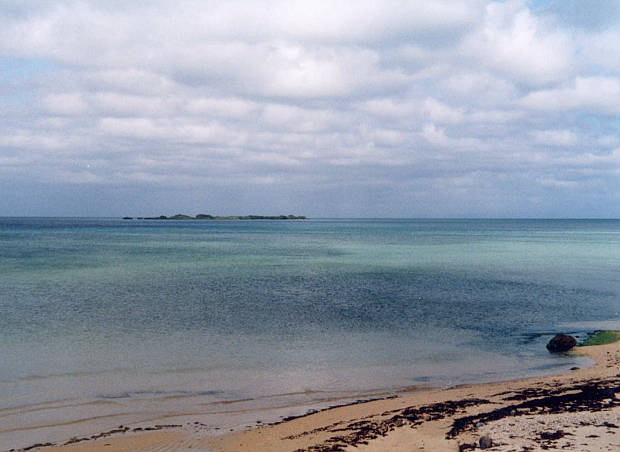 ���\��
(620�~452pixel,35.3KB)