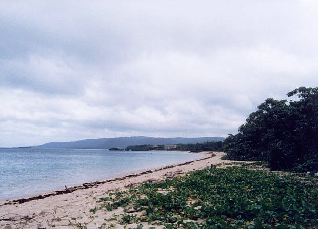 ���\��
(620�~447pixel,39.3KB)