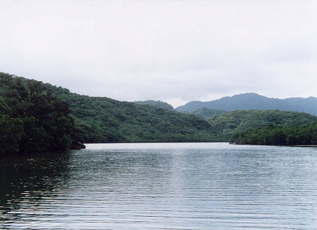 ���\��
(620�~450pixel,38.4KB)