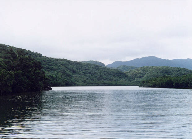 ���\��
(620�~450pixel,38.5KB)