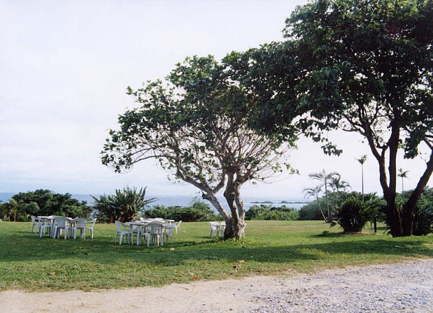 ���\��
(620�~448pixel,66.3KB)