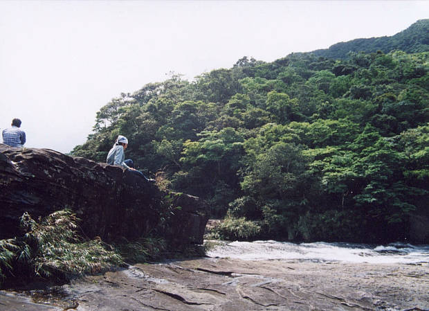 ���\��
(620�~449pixel,55.8KB)