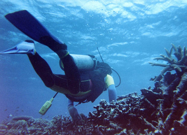 ���\��
(620�~448pixel,49.0KB)