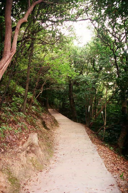 �⍑��Q
(413�~620pixel,95.2KB)